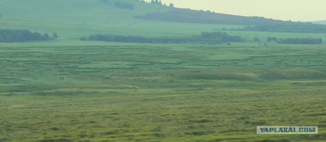 Загадочные фигуры на поле возле Краснодара