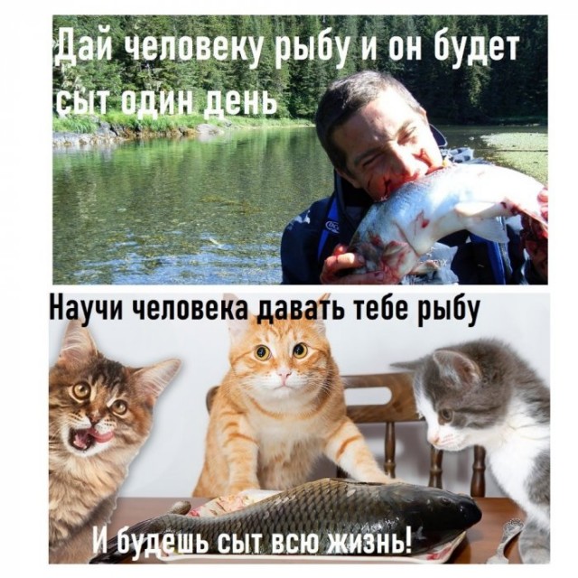 Картинки и мемы для настроения