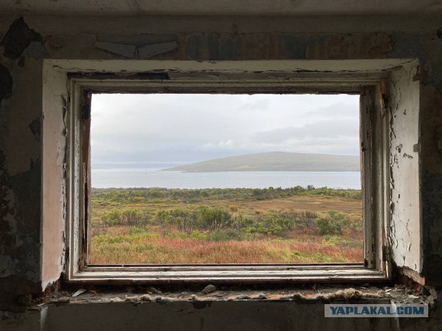 А чем бы вы занимались, если бы вопрос денег не стоял?