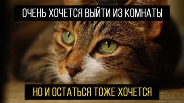 Картинки и мемы для настроения 30.09.2021