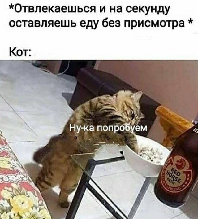 Картинки и мемы для настроения 23.11.2021