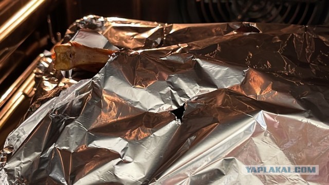 Гусь лапчатый, с лапшой