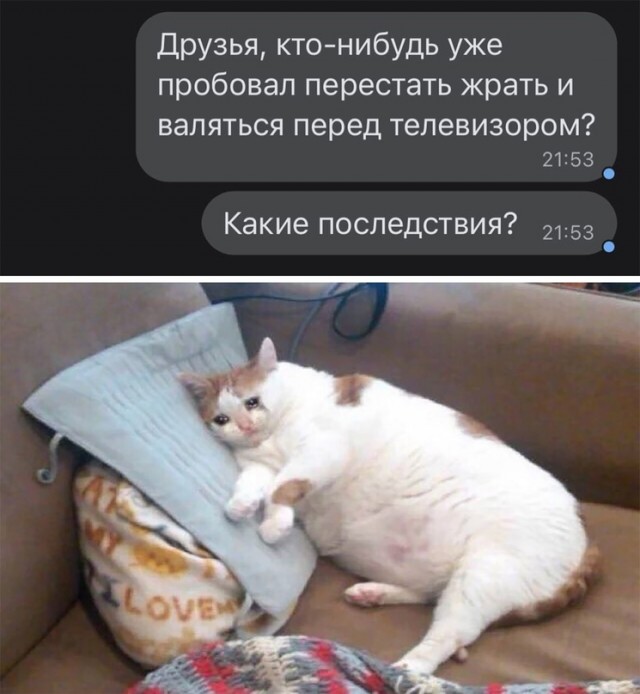 Весёлый полтишок 10.01