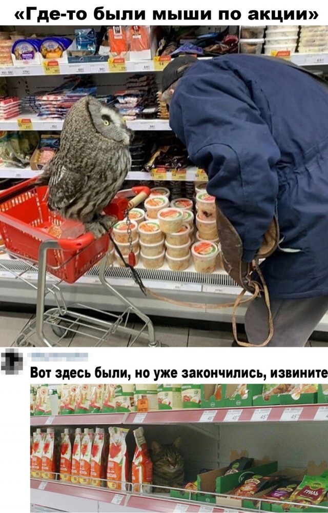 Так себе картинки 07.02.22