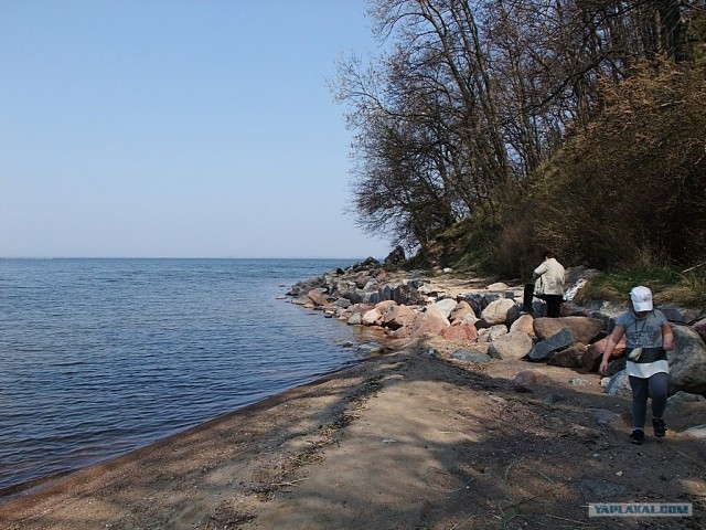 Бальга