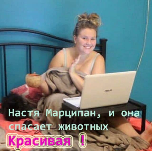 Эту невероятную девушку зовут Настя Марципан, и она спасает животных в Николаеве, пока вокруг ее дома слышны взрывы