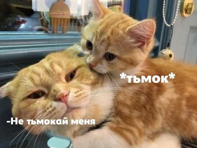 Так себе картинки 14.04.22
