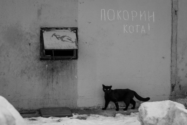 Картинки и мемы для настроения - 14