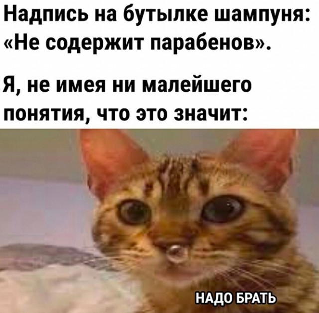 Баянисто-небаянистый юмор 7.06.22