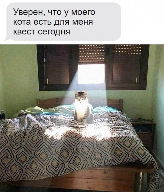 Картинки и мемы, всем хороших выходных