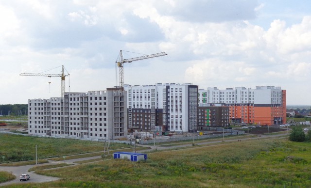 Пандемия съехавших крыш - разновидности болезни. Россия и мир. Часть 39.