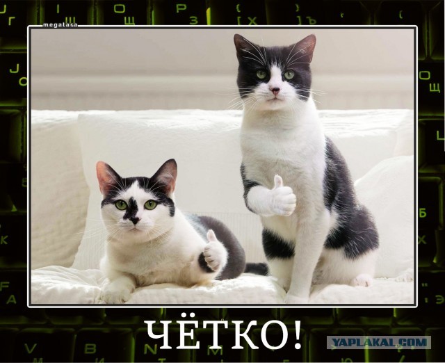 Очень чётко вошёл