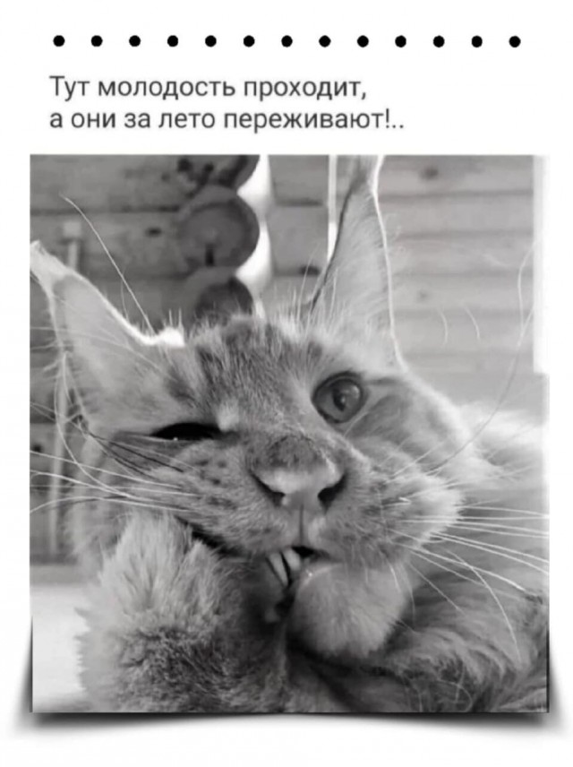 Немного картинок для настроения - 127
