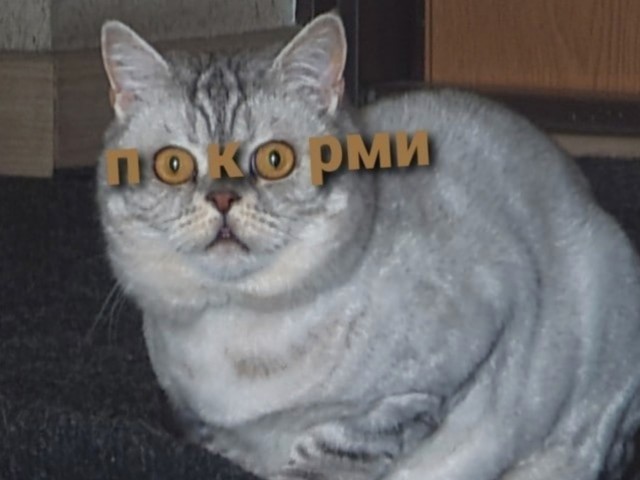 Так себе картинки 26.08.22