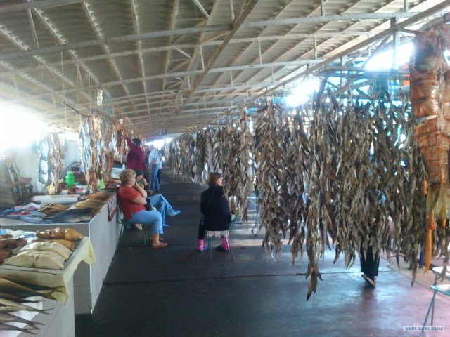 Отдохнули мы в Крыму....в гараже.