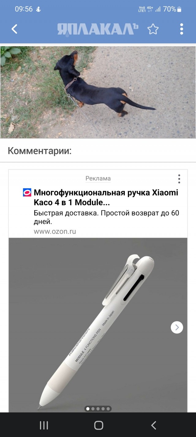 День рождения