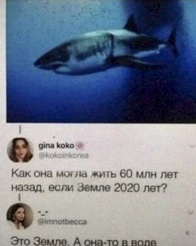 Забавные комментарии из социальных сетей (26.09.22)