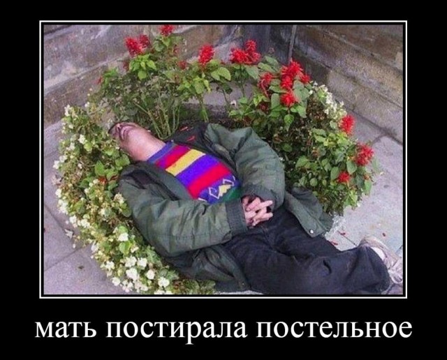Картинки аморальные и всякие разные - 41