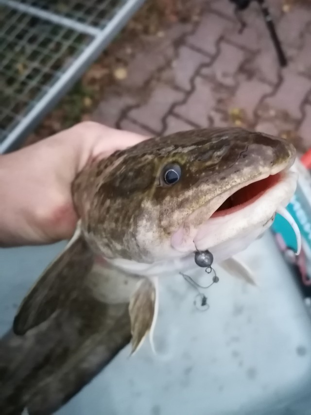 А я на рыбалке