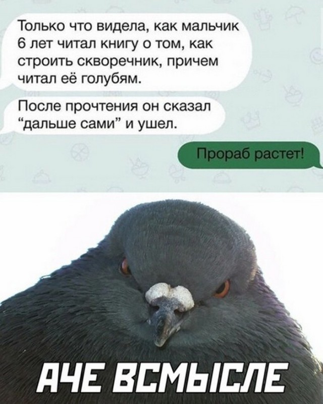 Немного картинок для настроения - 125