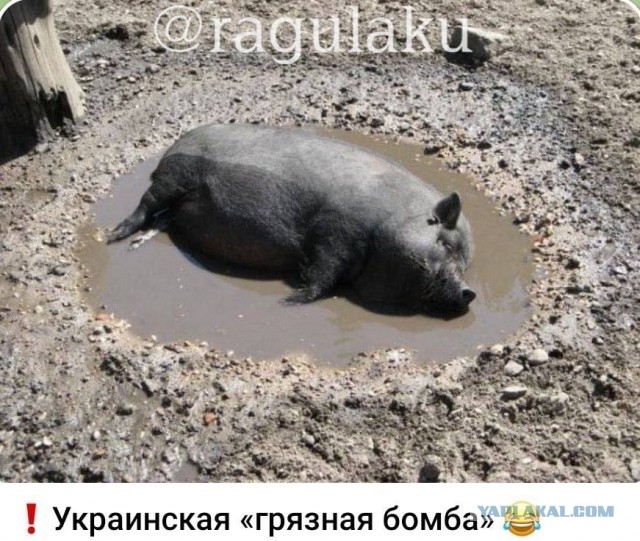 МО привело силы и средства в готовность на случай взрыва "грязной бомбы"
