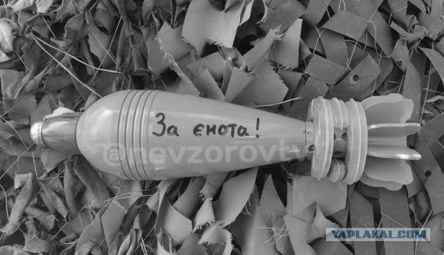 Белорусские пограничники сбили беспилотник, перелетевший границу со стороны Украины.