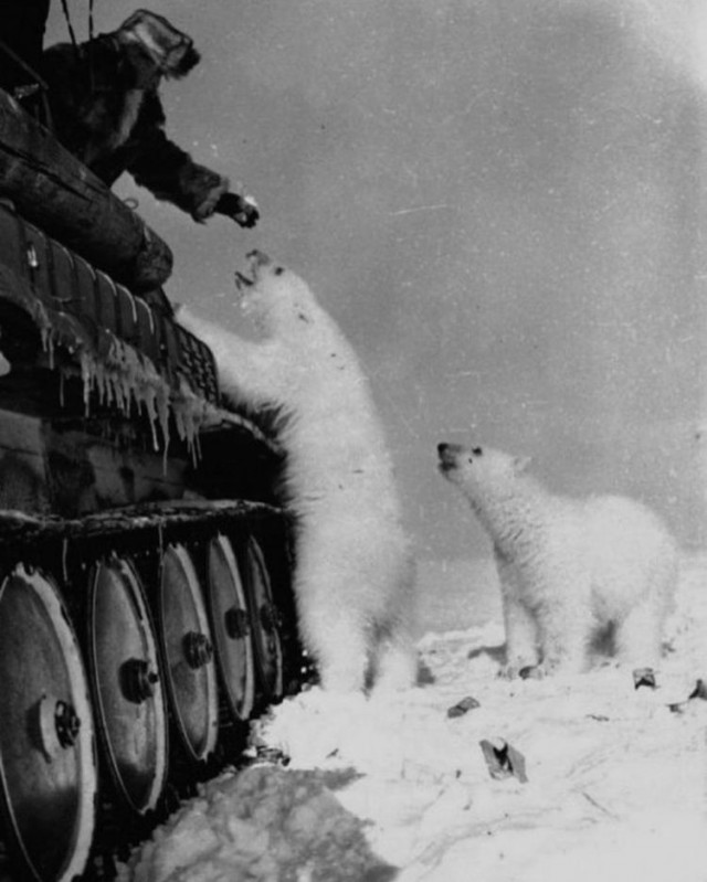 17 фотографий исторических моментов со всего мира, позволяющих увидеть прошлое как на ладони