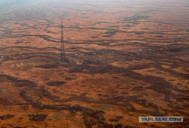 Сибирские перекрёстки