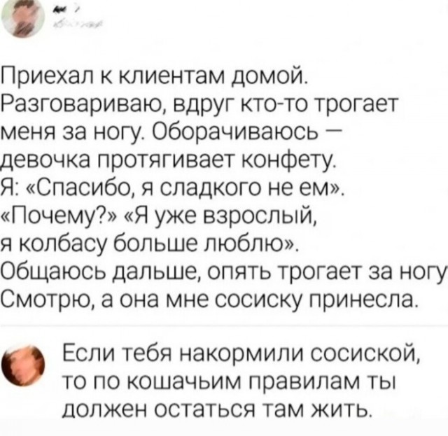 Весёлый полтишок 16.07.23