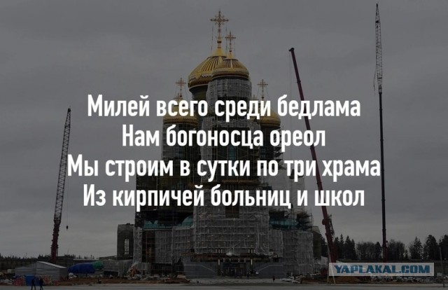 Слава богу, я безбожник #7