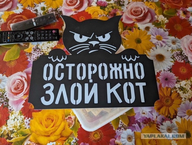 Рязань - Сасово из кабины машиниста