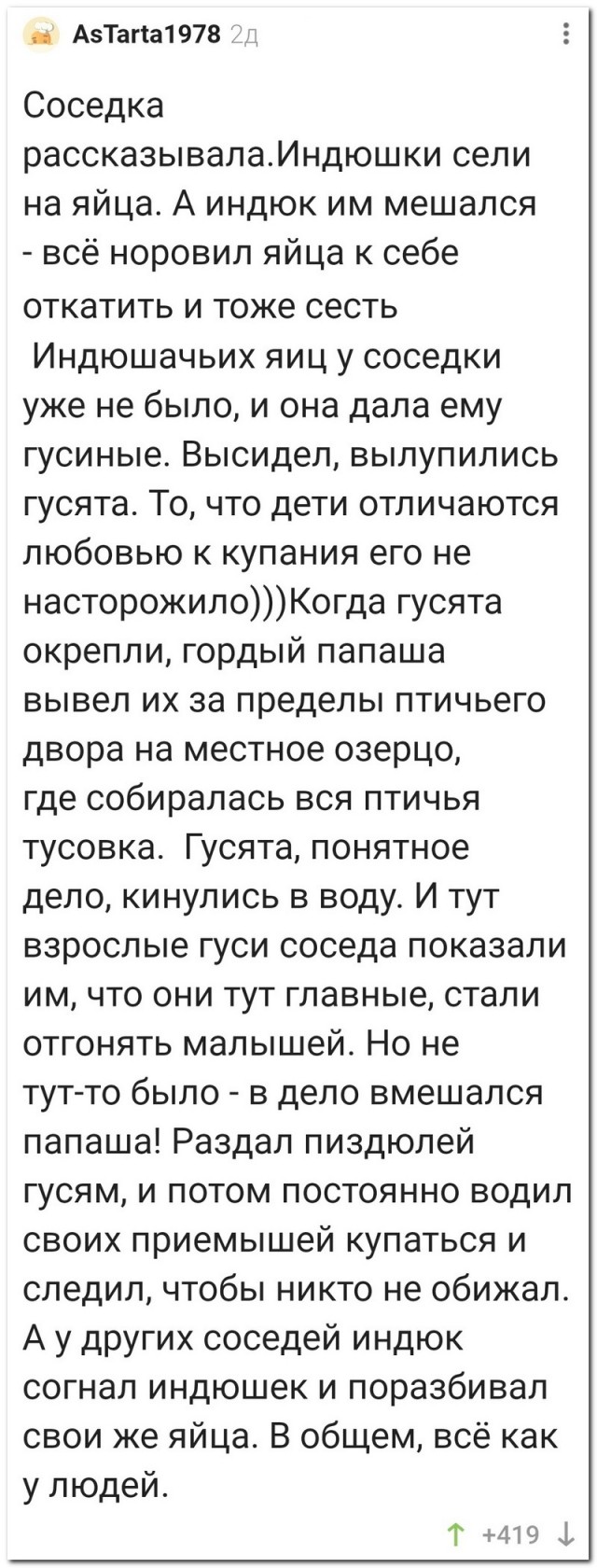 Забавные комментарии из социальных сетей (11.09.23)