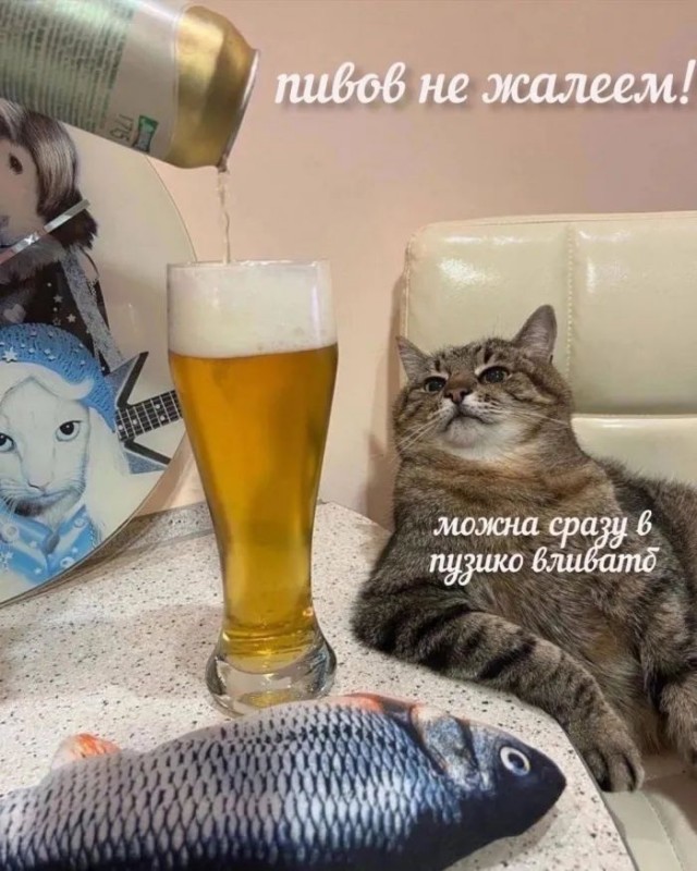 Прикольные и просто красивые картинки 15.09.2023
