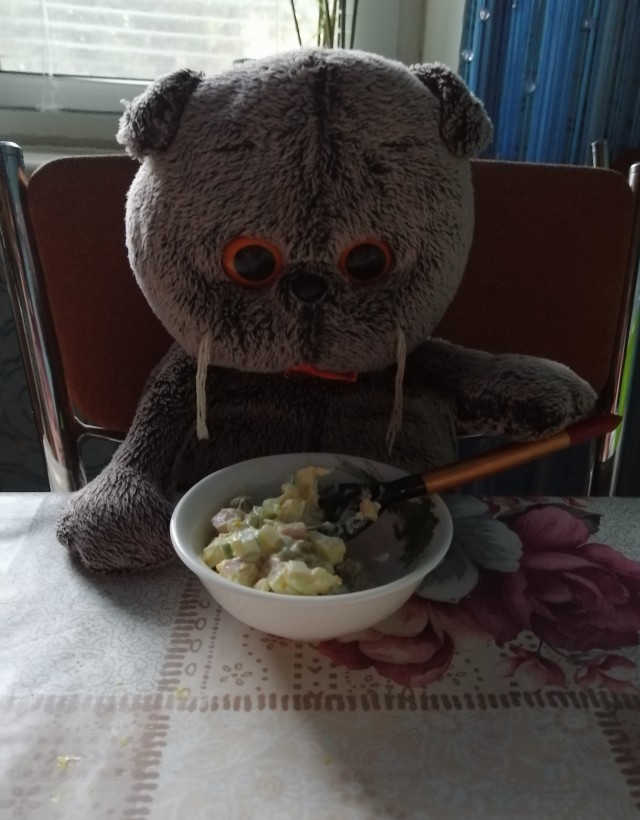 Котик скучает