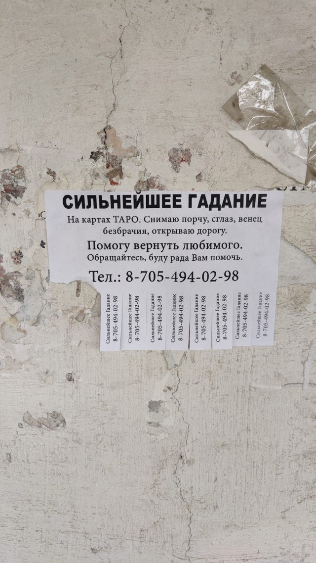 Перлы 02.11.23
