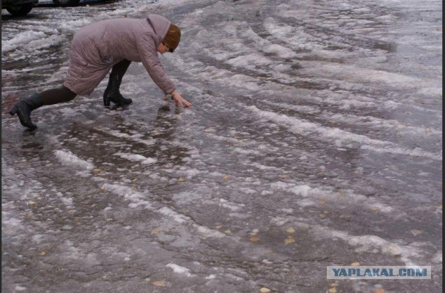 Утренний сюрприз