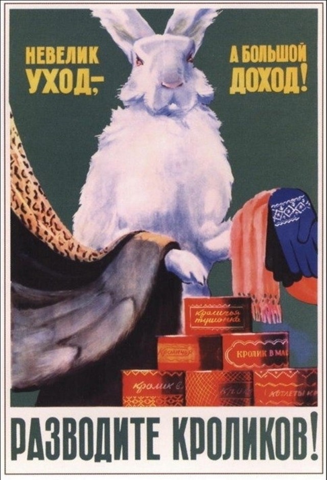 Фотографии из прошлого нашей страны - 44