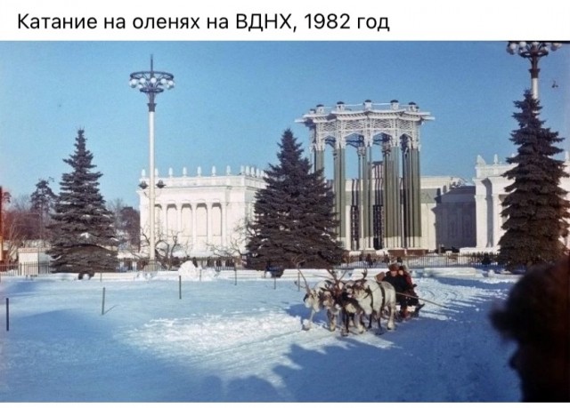 Люди и лица 19.12.23