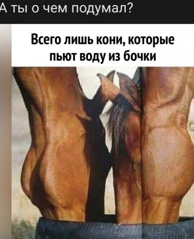 ФотоВинегрет из 55 пикч