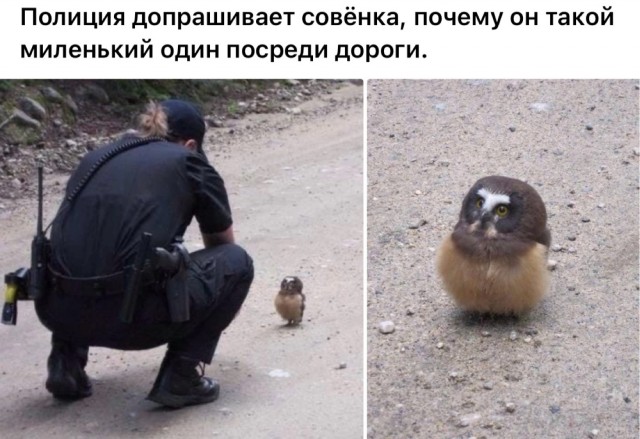 Нуштош 18.05.2024