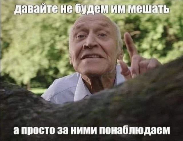 Разборка в Вышнем Волочке