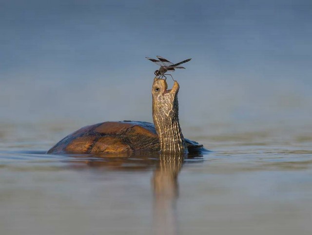ФотоВинегрет