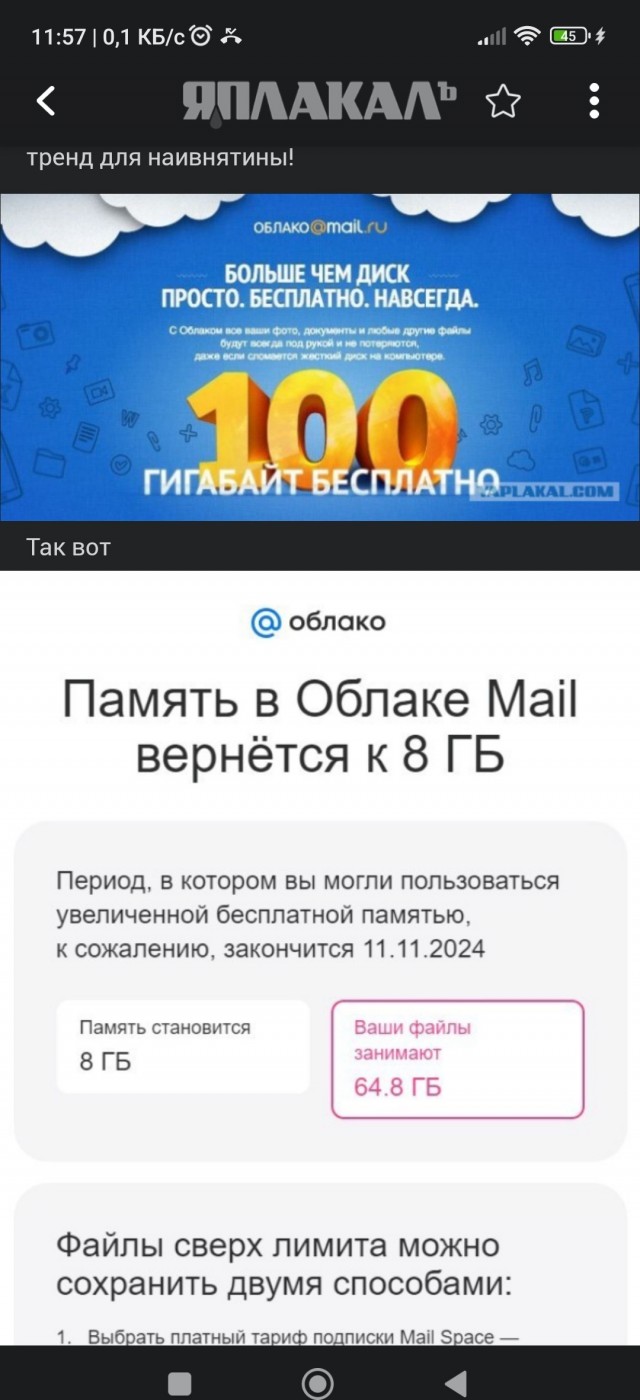 Навсегда, или дырявые карманы?