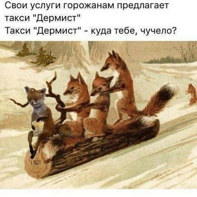 Прикольные и просто красивые картинки