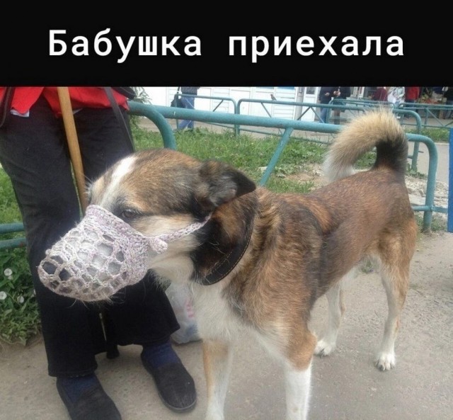 Всего понемногу. От 01.03.2025