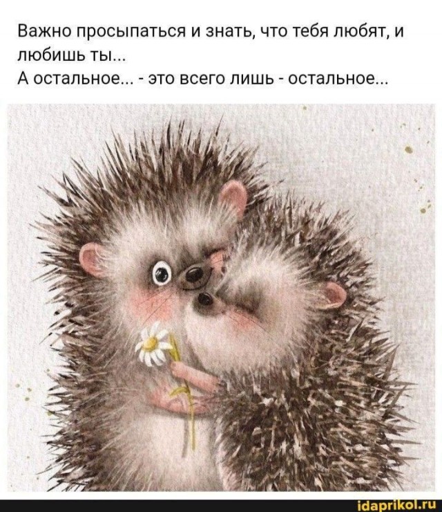 Прикольные и просто красивые картинки 21.03.2025