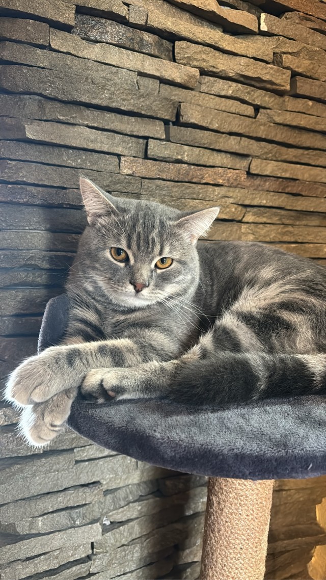 Размышление о понедельнике)