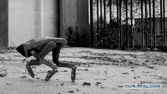 Китайские спецподразделения задействовали вооруженных роботов-собак во время антитеррористических учений в городских условиях