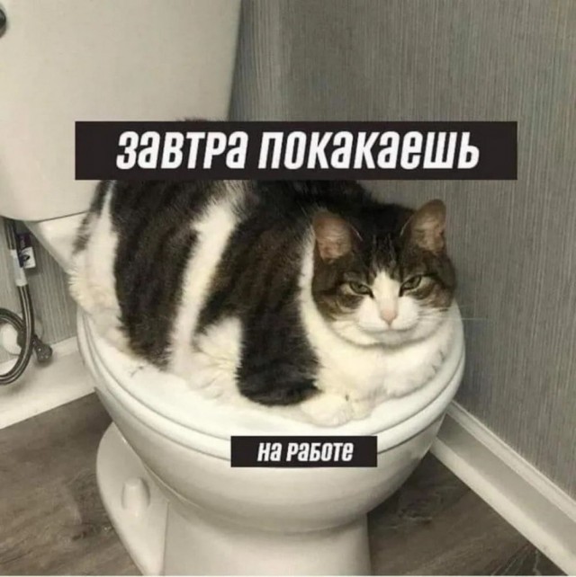 Раздача сокровищ из галереи