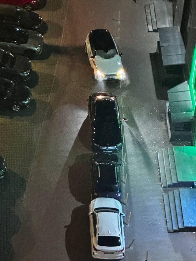 Дама за рулём